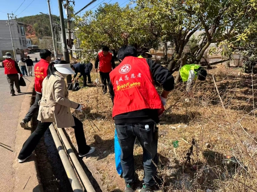 c6105bf03475fd81e37c857f566bccdd